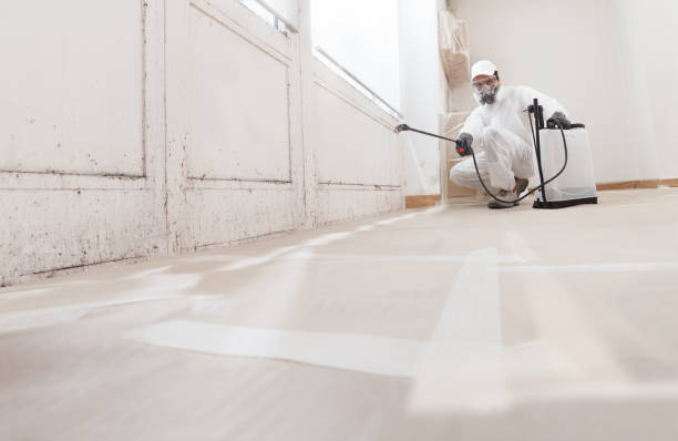24/7 Emergency Attic Mold Removal experts in Somerville, TX